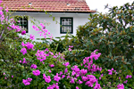  Appartements El Hierro Appartements auf El Hierro 	Appartements auf El Hierro mit Internet  (Nr. 1101)