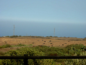 Meerblick Meerblick