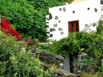 Finca im Grünen