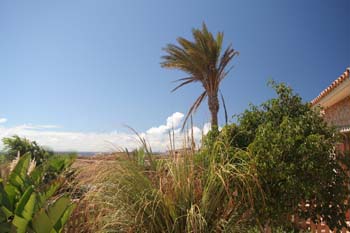 Individueller Urlaub auf Fuerteventura