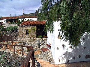 Garten vom Studio