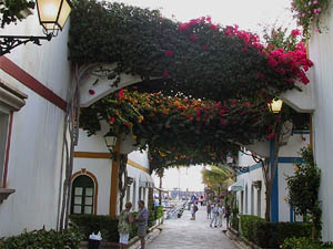 Ferienwohnung, am Hafen, auf Gran Canaria in Puerto de Mog�n - Autofreie Gasse in Puerto de Mog�n