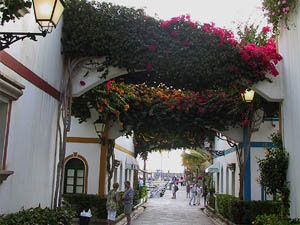 Ferienwohnungen mieten in Puerto de Mog&aacute;n - Urlaubsort im S�dwesten Gran Canaria