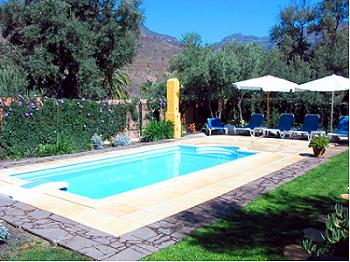 Schöner Pool im Garten