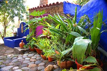 Ferienhaus im Palmengarten Ferienhaus im Palmengarten