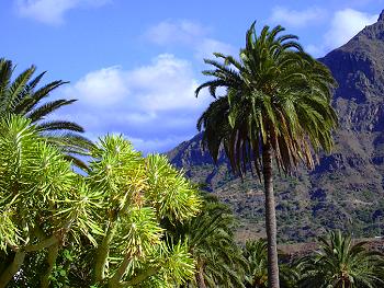 Gran Canaria Gran Canaria