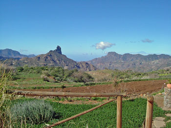 Roque Bentaiga