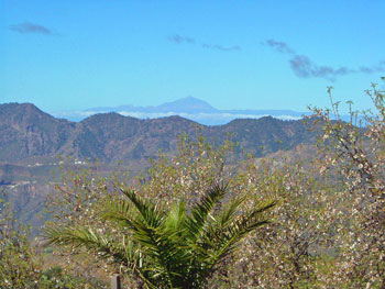 Blick bis zum Teide