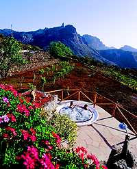 Gran Canaria Finca Gran Canaria Finca