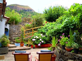 Blick in den Garten