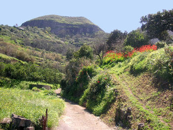 Gran Canaria Nord