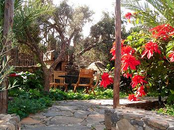 Garten Garten