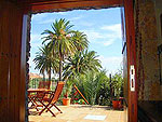 Urlaub unter Palmen - kanarisches Ferienhaus  (Nr. 0942)