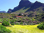 Finca in ruhiger Lage nahe Tasarte (Nr. 0947)