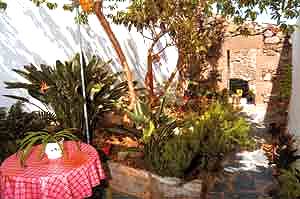 Innenhof mit kleinem Garten