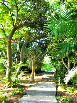 Garten Garten