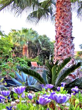 Garten mit Sitzplätzen Garten mit Sitzplätzen