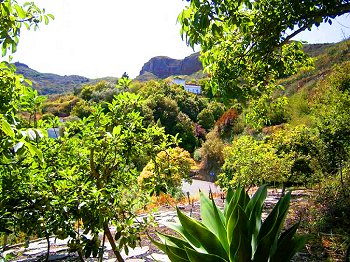 Ruhe und Natur genießen Ruhe und Natur genießen