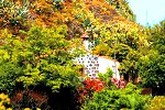 Kleines Ferienhaus auf Gran Canaria (Nr. 9703)
