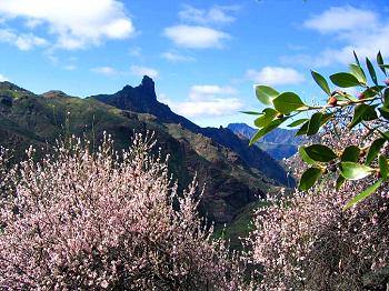 Berglandschaft Gran Canaria 