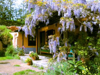 Ferienhaus in ruhiger Lage Ferienhaus in ruhiger Lage