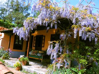 Ferienhaus mit Garten Ferienhaus mit Garten