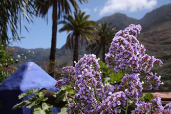 Grüne Norden von Gran Canaria Grüne Norden von Gran Canaria