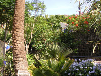 Garten Garten