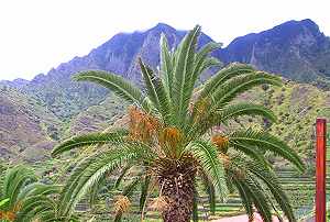 Ferienhaus Gomera Ferienhaus Gomera