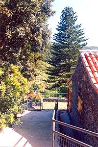 Finca im Norden von La Gomera