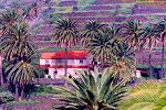Wanderurlau auf La Gomera