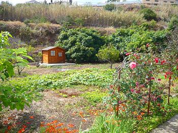 Garten