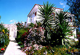 Ferienhaus La Palma Ferienhaus La Palma