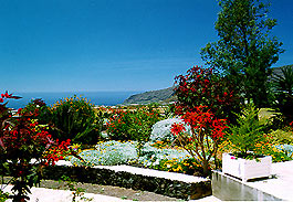 Ferienhaus La Palma Ferienhaus La Palma