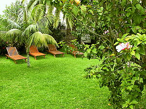 Ferienh&auml;user/ Appartements La Palma