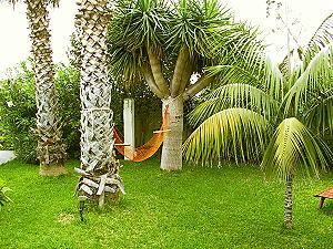 Ferienh&auml;user/ Appartements La Palma