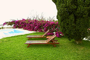 Ferienh&auml;user und Appartements La Palma