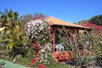 Ferienhaus bei Puerto Naos mit Internetanschluss (Nr. 0818)