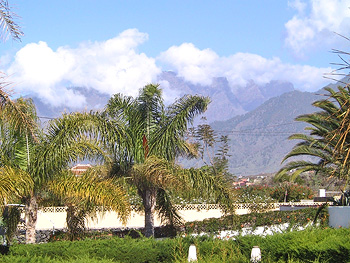 Blick vom Garten Blick vom Garten
