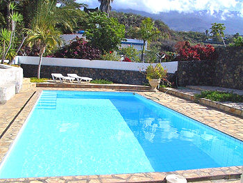 Pool vor dem Apartmenthaus Pool vor dem Apartmenthaus