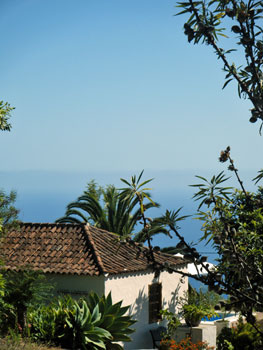 Finca mit Meerblick La Palma Finca mit Meerblick La Palma
