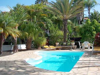 Gepflegter Pool im tropischen Garten Gepflegter Pool im tropischen Garten