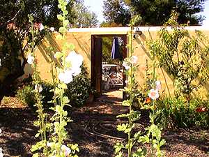 Ferienhaus in Puntagorda zu mieten zum Wandern in La Palma - Garten vom Ferienhaus bei Puntagorda