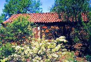 Ferienhaus in Puntagorda zu mieten zum Wandern in La Palma - Gartenasicht vom Ferienhaus bei Puntagorda
