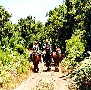 Ferienhaus in Puntagorda zu mieten zum Wandern in La Palma - Reitausflug auf La Palma