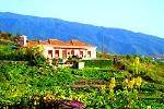 La Palma Ferienhaus mit Internet  (Nr. 8810)
