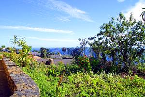 Blick vom verwilderten Garten zum Meer