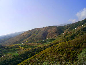 La Palma Landschaft