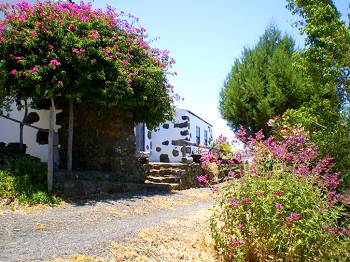 Ferienhaus in Las Tricias Ferienhaus in Las Tricias