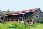 Finca in ruhiger Lage im Nordwesten La Palma (Nr. 8844)